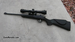 Crickett rifle .22 Ben (3)