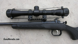 Crickett rifle .22 Ben (4)
