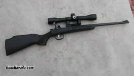Crickett rifle .22 Ben (6)