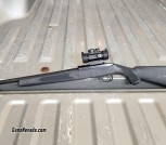 Ruger 10/22