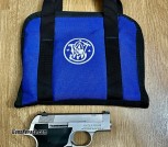 RARE S&W MODEL 2213 STAINLESS 22LR